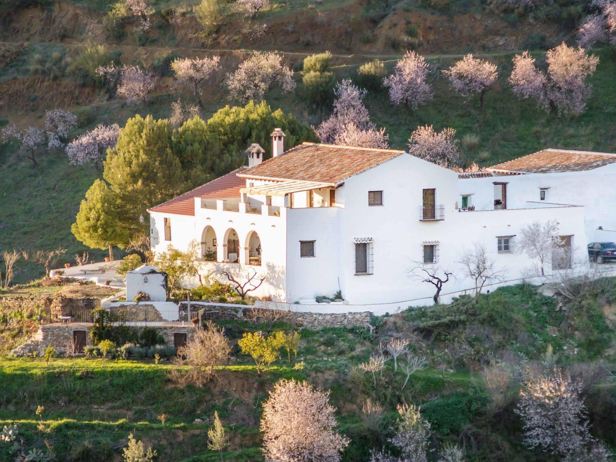 Affittacamere Cortijo Juan Salvador Olías Esterno foto